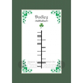 Dudley - Ogham First Name