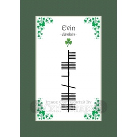 Evin - Ogham First Name