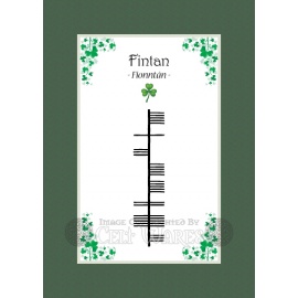 Fintan - Ogham First Name
