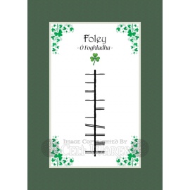 Foley - Ogham Last Name