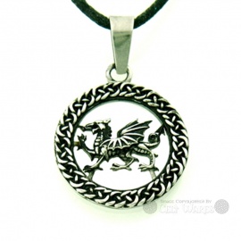 Welsh Dragon Steel Pendant