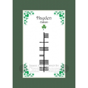 Hayden - Ogham First Name