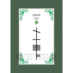 Liam - Ogham First Name