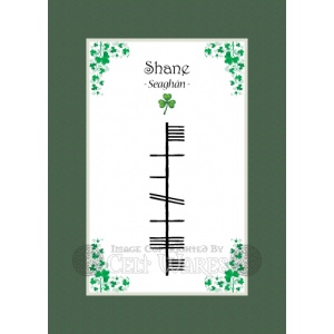 Shane - Ogham First Name