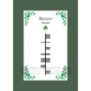 Steven - Ogham First Name