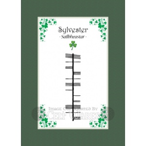 Sylvester - Ogham First Name