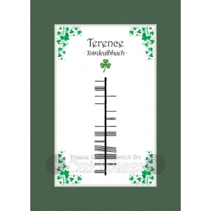 Terence (Ancient) - Ogham First Name