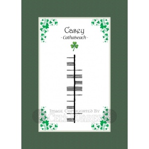 Casey (Girl)  - Ogham First Name