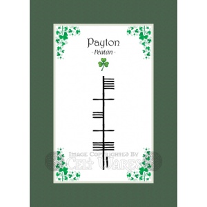 Payton - Ogham First Name