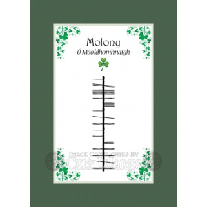 Molony - Ogham Last Name