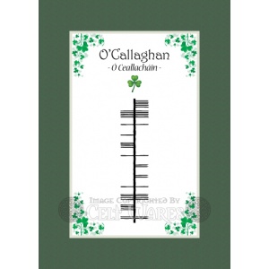 O'Callaghan - Ogham Last Name