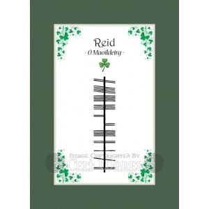 Reid - Ogham Last Name